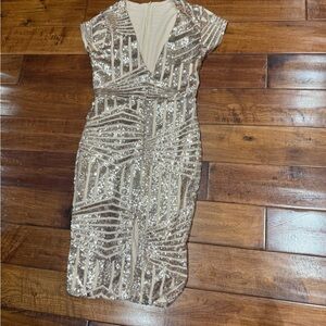 Elegant Sequin Dress in Silver and Cream